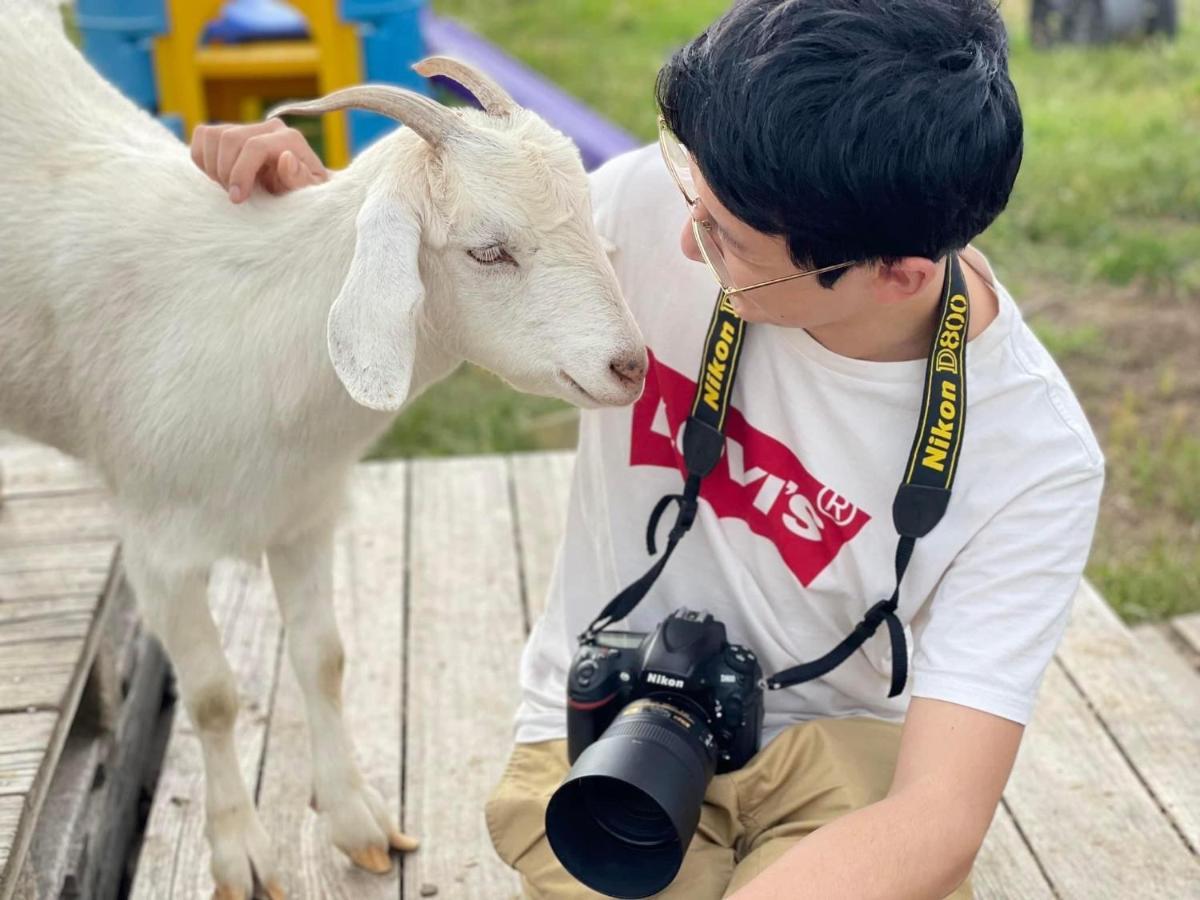 Готель Glenview Alpaca Farm Ясс Екстер'єр фото