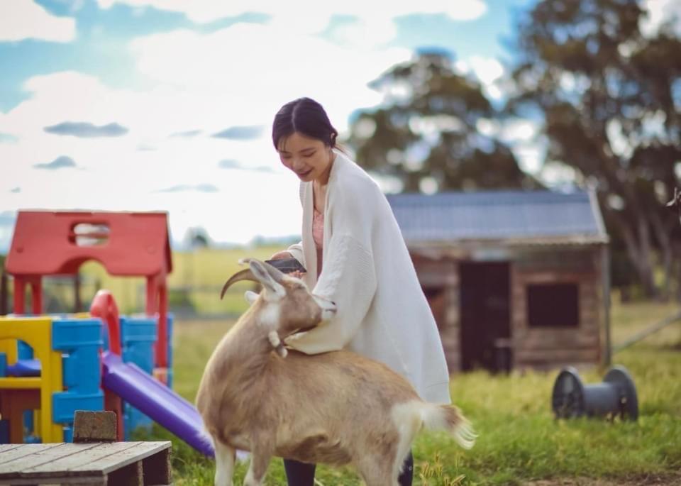 Готель Glenview Alpaca Farm Ясс Екстер'єр фото